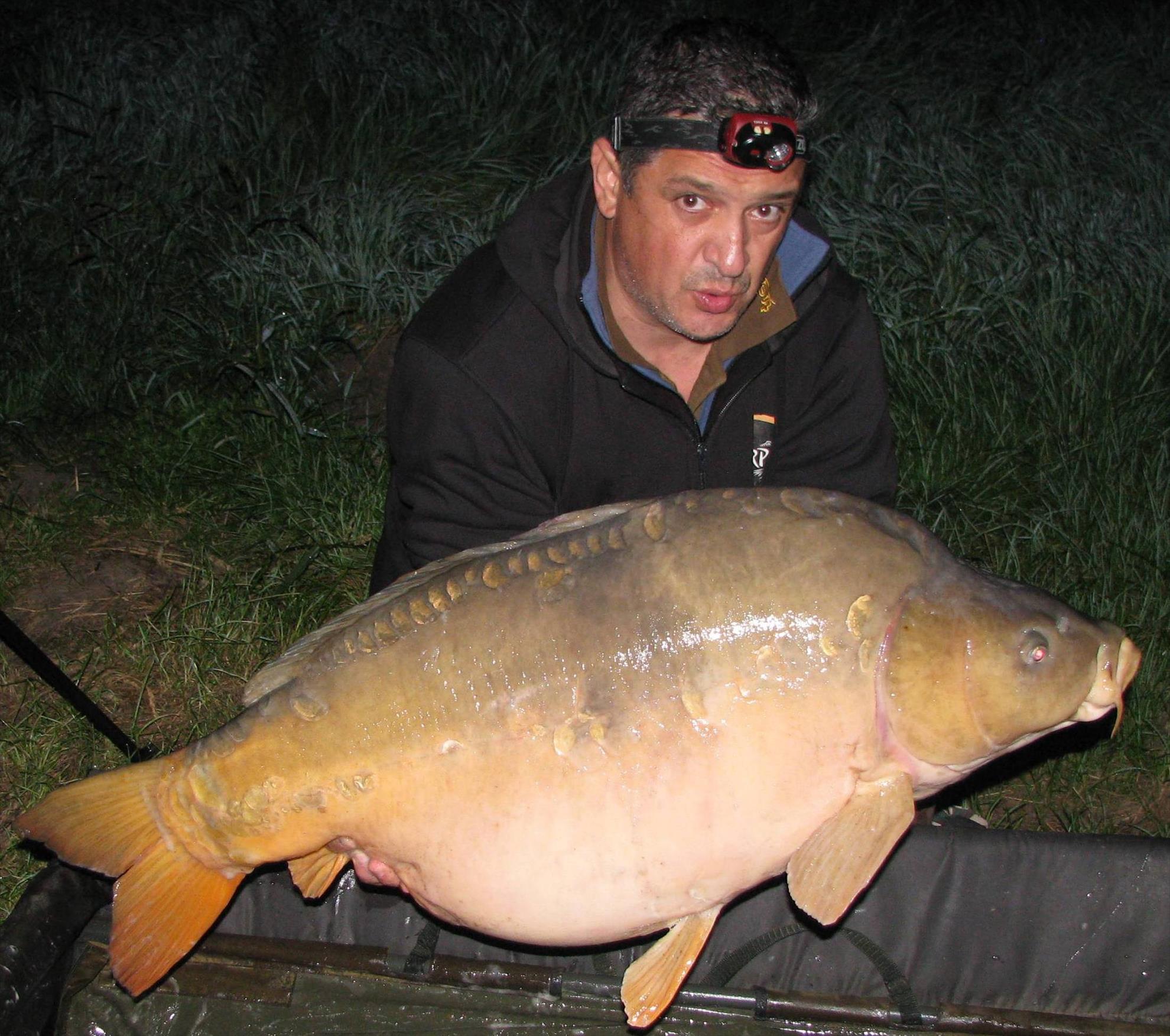Harsany septembrie 2014 - 24,2 kg